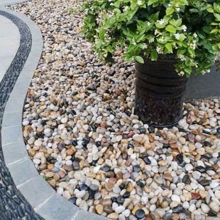 2.5kg Pebble Courtyard Paving Stone Garden Balcony Decoration Multicolored Rain Flower Stone Rough Stone Pebble Paving