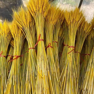 �Ĵ����ش������V������_�I�����ʣ�Դ�^�S��ֱ�l������ă���