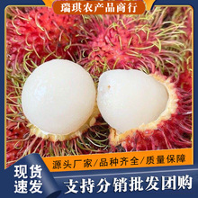 Խ�ϼtë�����rˮ�����|���]�����Ꭷˮ��Խ�ϼtë��һ�����lһ��