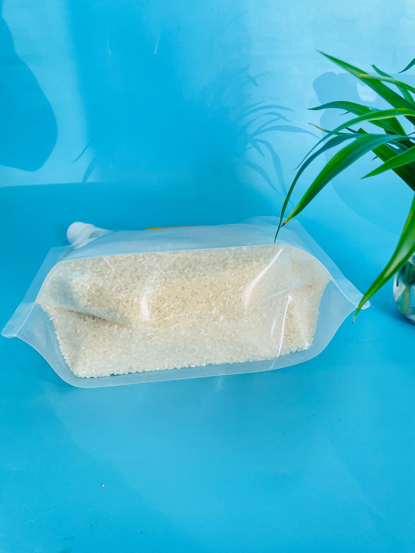 37469d20a0261ebfb0302da6875666