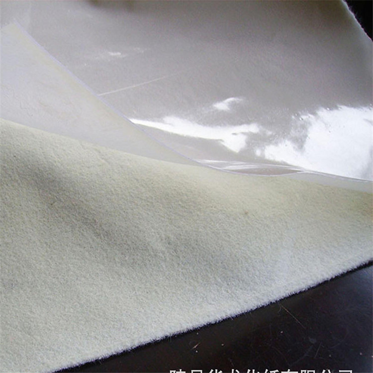 湖南长沙一布一膜土工膜藕池鱼塘水池阻根防渗土工膜公路用土工膜