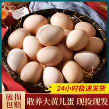 鸡蛋40枚土鸡蛋新鲜草鸡蛋农家散养现捡营养笨整箱批发价10枚代发