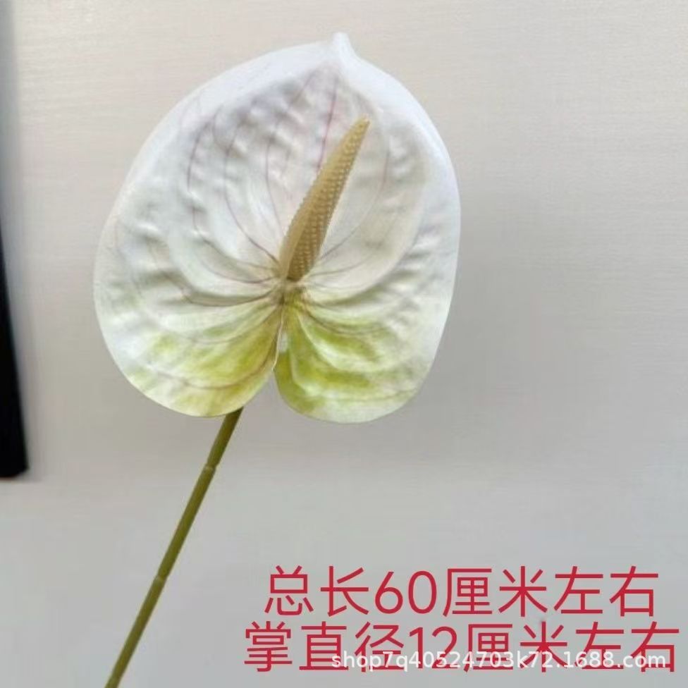 색상 1호