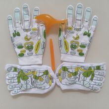 �羳���Q��Ů��Ӣ�ĈD���cѨ��ɫѨλ�m�Ӳ�ɫѨλ���װ�Ħ�m���b