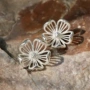镂空小众925花朵耳钉