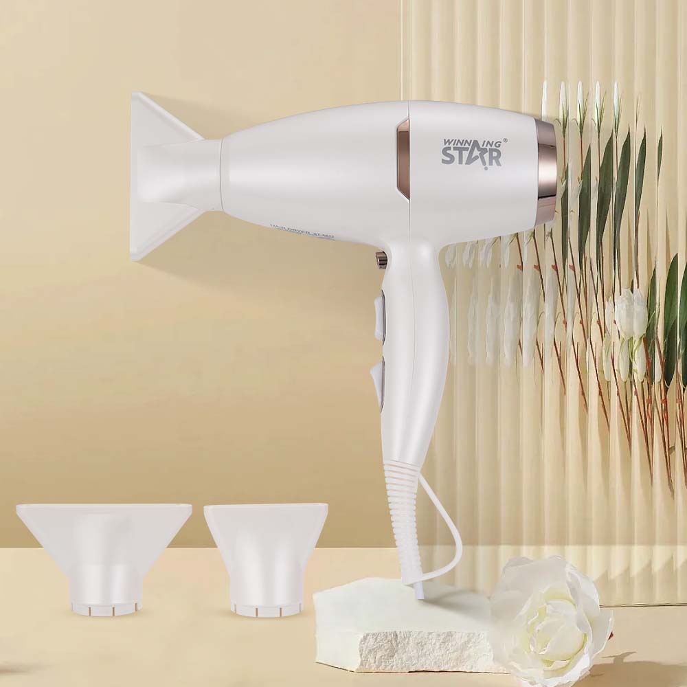 Winning Star comercio exterior hogar frío y caliente velocidad del viento seco de alta potencia anti-secado secador de pelo Hair Dryer