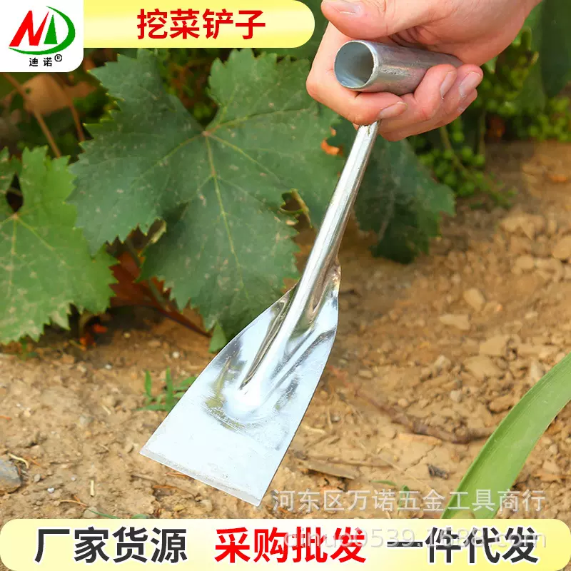迪诺厂家供应铁把不锈钢挖铲挖菜挖草加宽铲子挖土园林园艺小铲