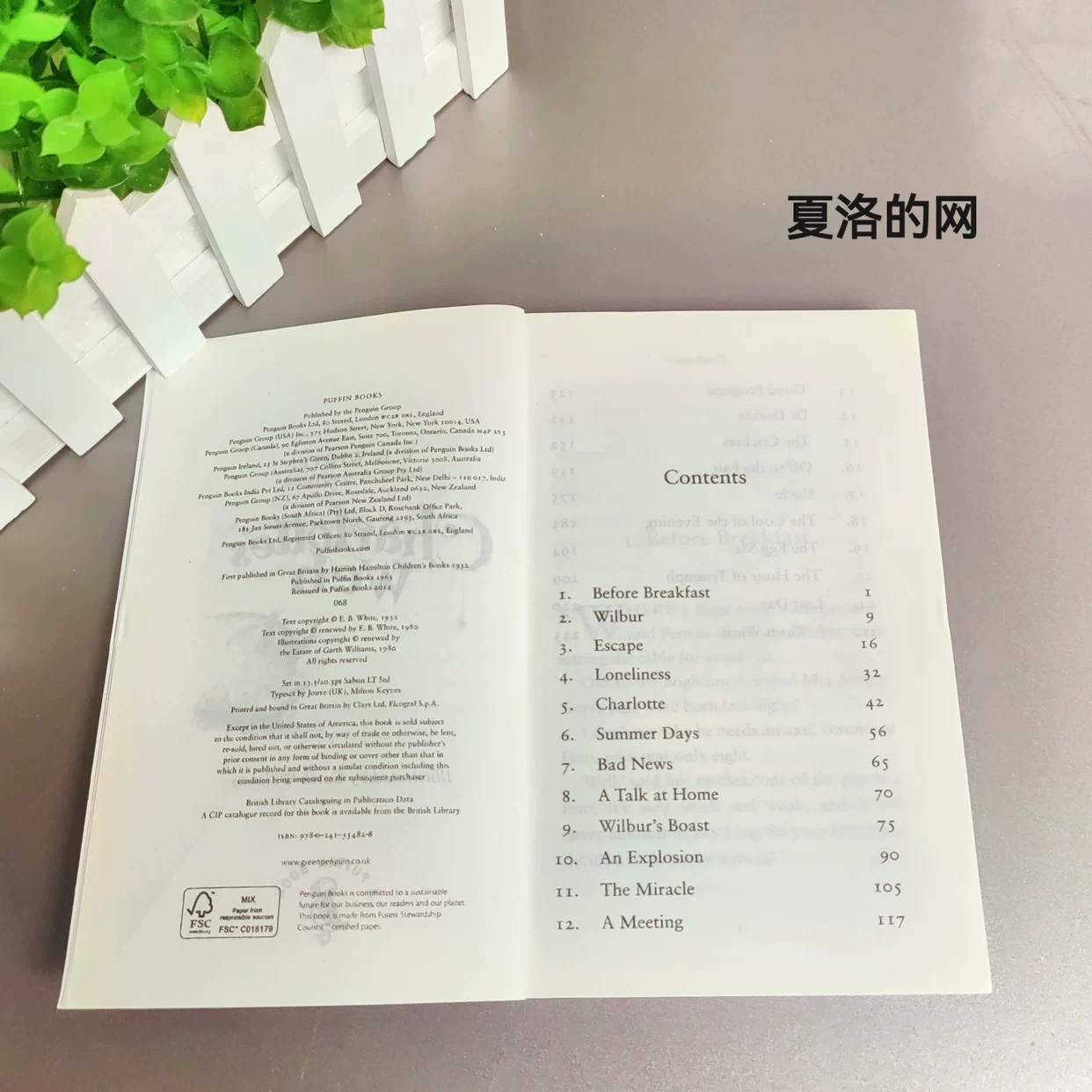 Белый 3 Английская версия «Уильям Т.Чарльот» EB EB EB Charlotte+Mouse Boy+Blow Swan