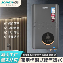 松意即热式燃气热水器家用淋浴恒温平衡式强排式热水器跨境专供