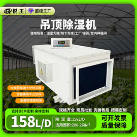 吊顶排湿除湿机大功率车间地下室家用商用工业抽湿机节能恒温去湿