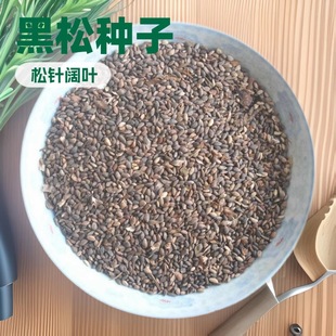 �ɘ�N�����ɺ���ѩ�ɰ�Ƥ���Rβ���Aɽ���_�h���o�»�ɽ���ַN��