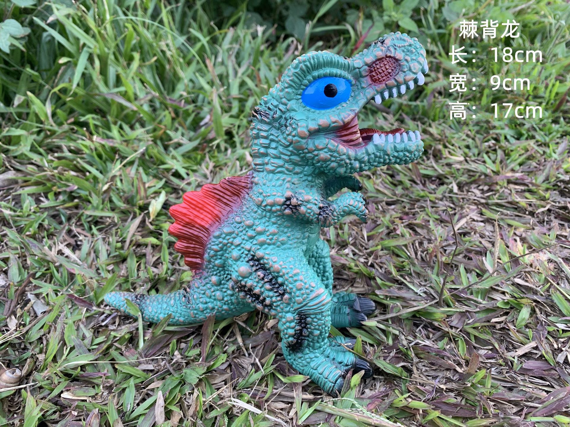 The new small spiny back dragon BB is called