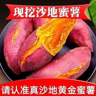 �����S��ɳ�جF���������r���ڼt���S�İ������ķ����t��ɽ��ع�