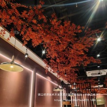 ~bټt~컨پGֲՇֲڳ