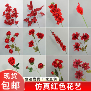 ���滨�tɫϵ��c���߻�Y·�����ٻ��b��쾰�Ĕz���߻��ķ��滨