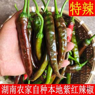 �ϼt��ɽ�����r���ԷN�������r����Ƥ���r�߲������ӽ��Fժ1��