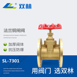 �p�ַ��m�l�y�_�Pdn100�S�~�Ӻ����dn80dn65dn150�~оˮ�l�y�_�P