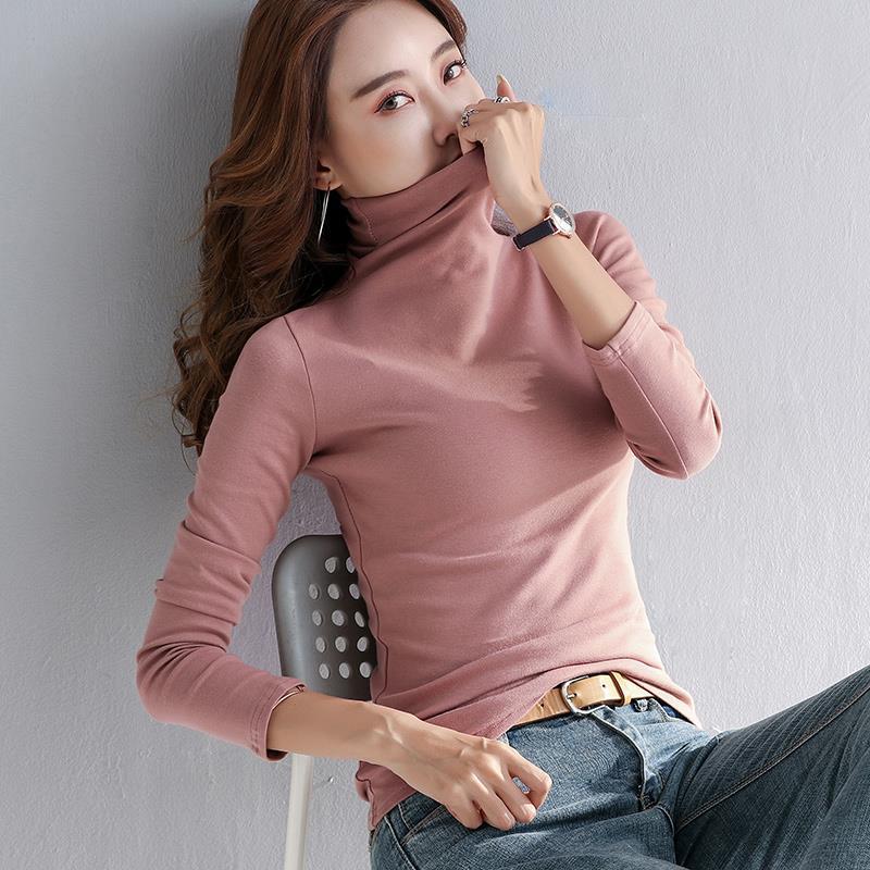 다크 브라운 레드 (하이 칼라)