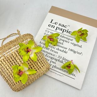 ���Sֱ�l���滨��ɫ�����mС�����c�b����l�����^ٻ�