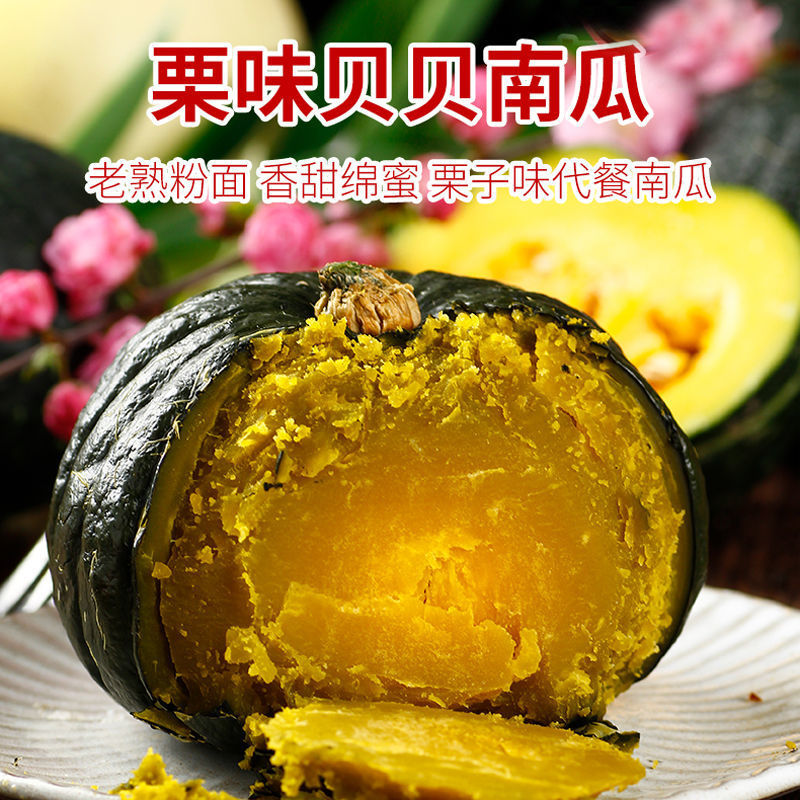 贝贝南瓜板栗味迷你小南瓜粉糯香甜软宝宝辅食山东老南瓜