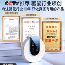 2024¿҃ȼ؈sǲ׽2298