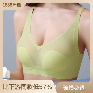 2023�괺���¿��_�y��â�����o�����ش����@С���͸�Ɑ����