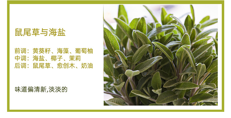 8a075c7c39724bf1aadee6ebd6dba9