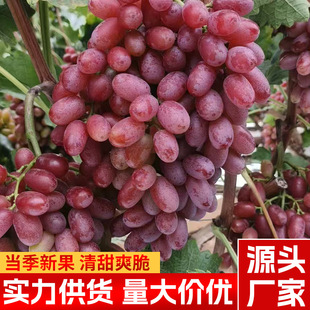 �ؼ��˂������ѹ���M���\ݔ�����������С���۳�Դ�^�a��ֱ�l