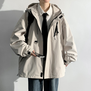 ���﹤�b�_�h��������2024�¿��Bñ���e�紺�ļ������\��Ʀ���A��