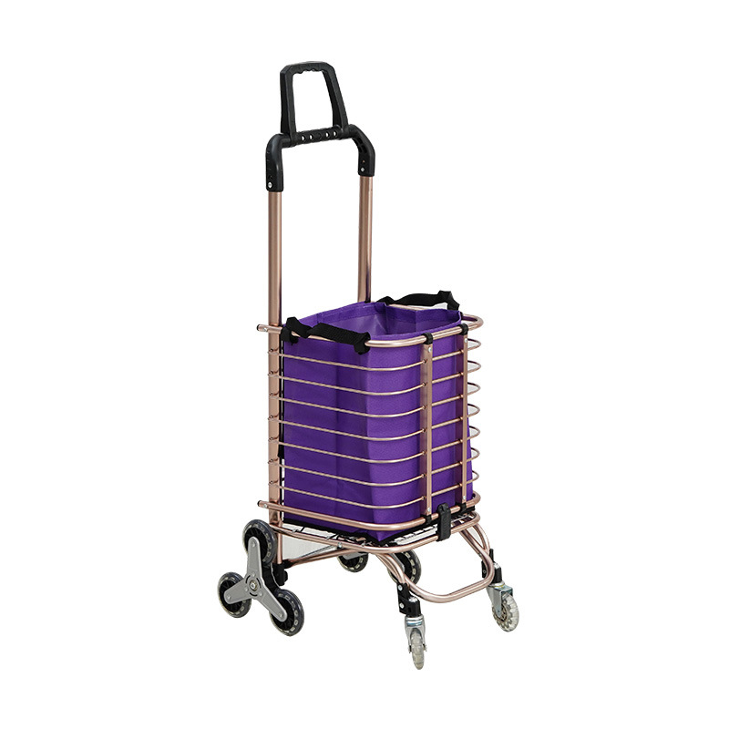 Carrito de compras de supermercado de compras de verduras para ancianos, carro de mano plegable, carro de mano ligero doméstico, carro de compras de verduras pequeño