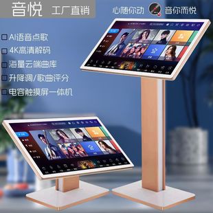 Factory Direct Sales Yin Yue Family Ktv Karaoke Machine Touch Screen All-In-One Home Amplifier Audio Set Karaoke Machine