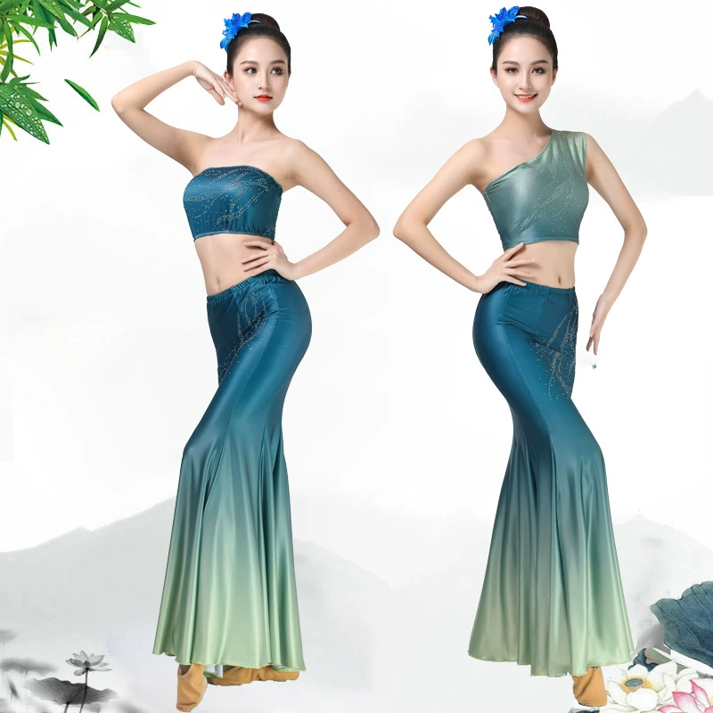 Dai Dance Performance Костюм для тренировок Юбка для выступлений Женский танец павлина Юбка годе Практика танцевальной юбки Художественный тестовый костюм