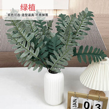 ҃Gֲb辰Gֲ  Ҿ쾰b[