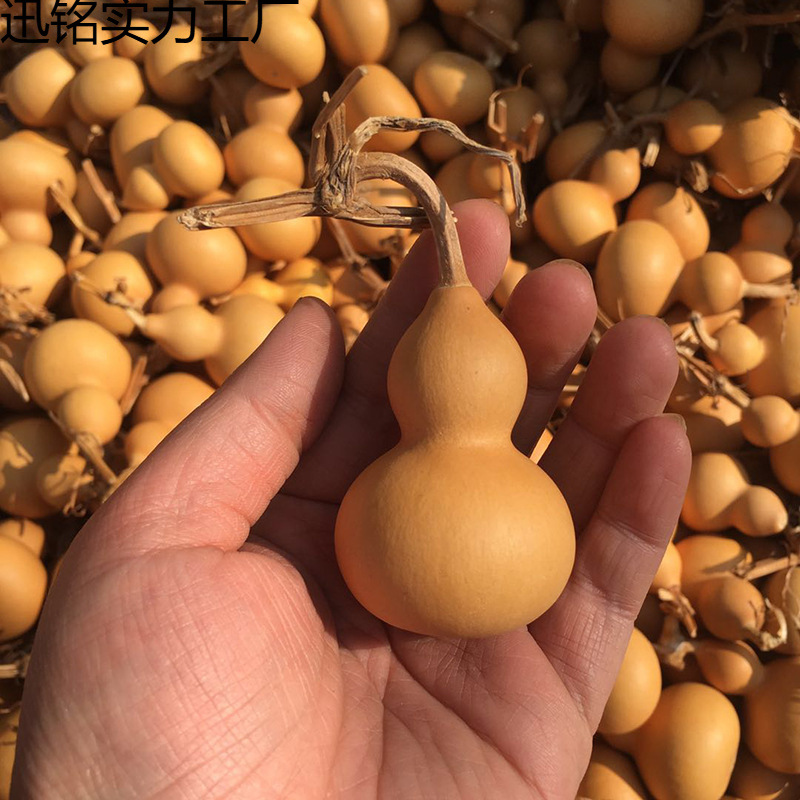 4-7cm素葫芦通货批发天然带龙头挂件迷你工艺品小葫芦摆件手把件