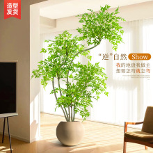 ���������Gֲ�߶��p���҃ȴ���������Կ͏d�b[�������ٻ���