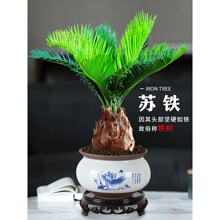 �F���辰�҃Ⱥ��Bֲ�����Ի����k����ͥԺ�F�����ļ���������