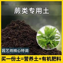 蕨类专用土蕨类营养土家用种植土壤家庭盆栽种花养花绿植有机土跨