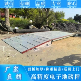 地磅;电子秤;其他衡器