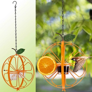 hummingbird feeder�S�Z���Bιʳ����ɫˮ�����L�������⻨�@ι�B