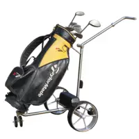 ESWING Новый 2-колесный Golf электрическая тележка с дистанционным управлением системы слежения Golf Электрический ковер