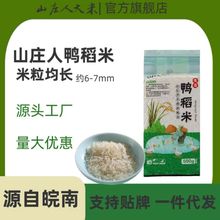 【山庄人】鸭稻丝苗米真空1斤装大米新米礼品会销批发农产品500克