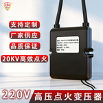 厂家供应220V燃油燃气点火变压器高压包取暖炉工业锅炉配件