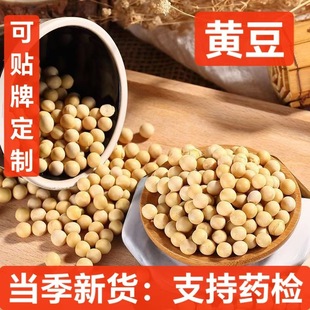 �|���r���S��500����؛���|�S���w��M �r���S����Ҏ��