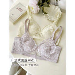 フレンチレースの大きい胸は小さい下着の女性の夏の薄いタイプが見えます。