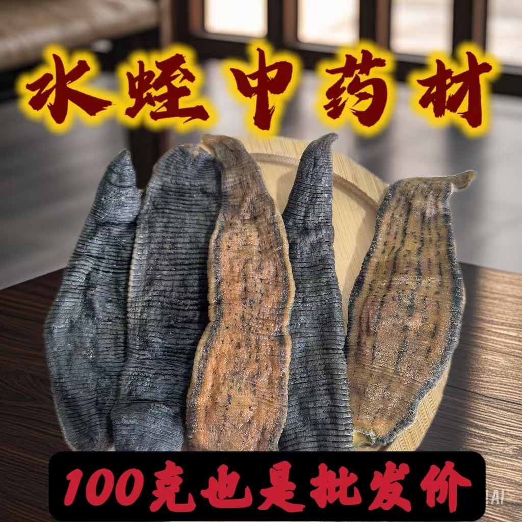 水蛭 盐水货 大选水蛭 肉厚 纯干货 产地 江苏省100克也是批发价