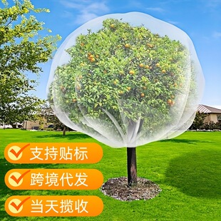 �羳���R�d���x�W�� ֲ����x�ֳ��K��朾W�ֹ���W������o��