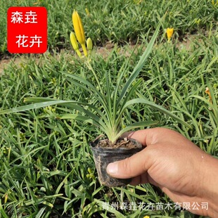 �ر��޸����ܽ���������� ͥԺ��·���@�G���m���ԏ����������