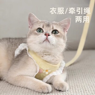 ����؈�䠿���K���С؈؈���G��؈�K����؈��Ó����С��Ȯ����ʽ