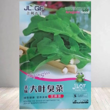 大叶臭菜种子东北芝麻菜籽臭菜籽春秋季阳台菜园盆栽野菜蔬菜种子