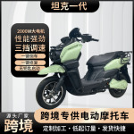 外贸出口定制电动车坦克一代电瓶车大功率电动摩托车踏板车锂电池
